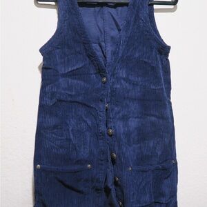 Express Navy Corduroy Dress